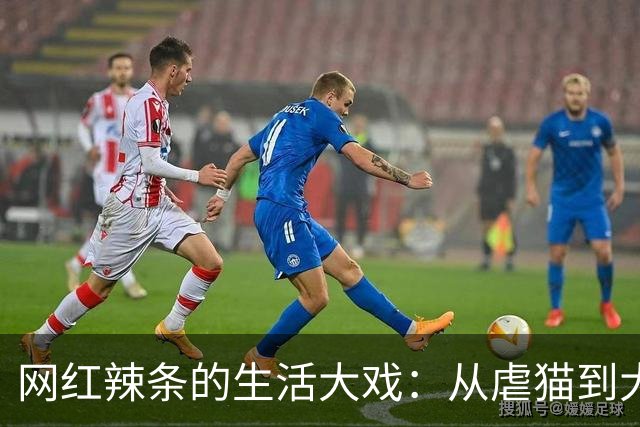 网红辣条的生活大戏：从虐猫到大乱斗
