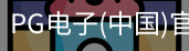 pg电子